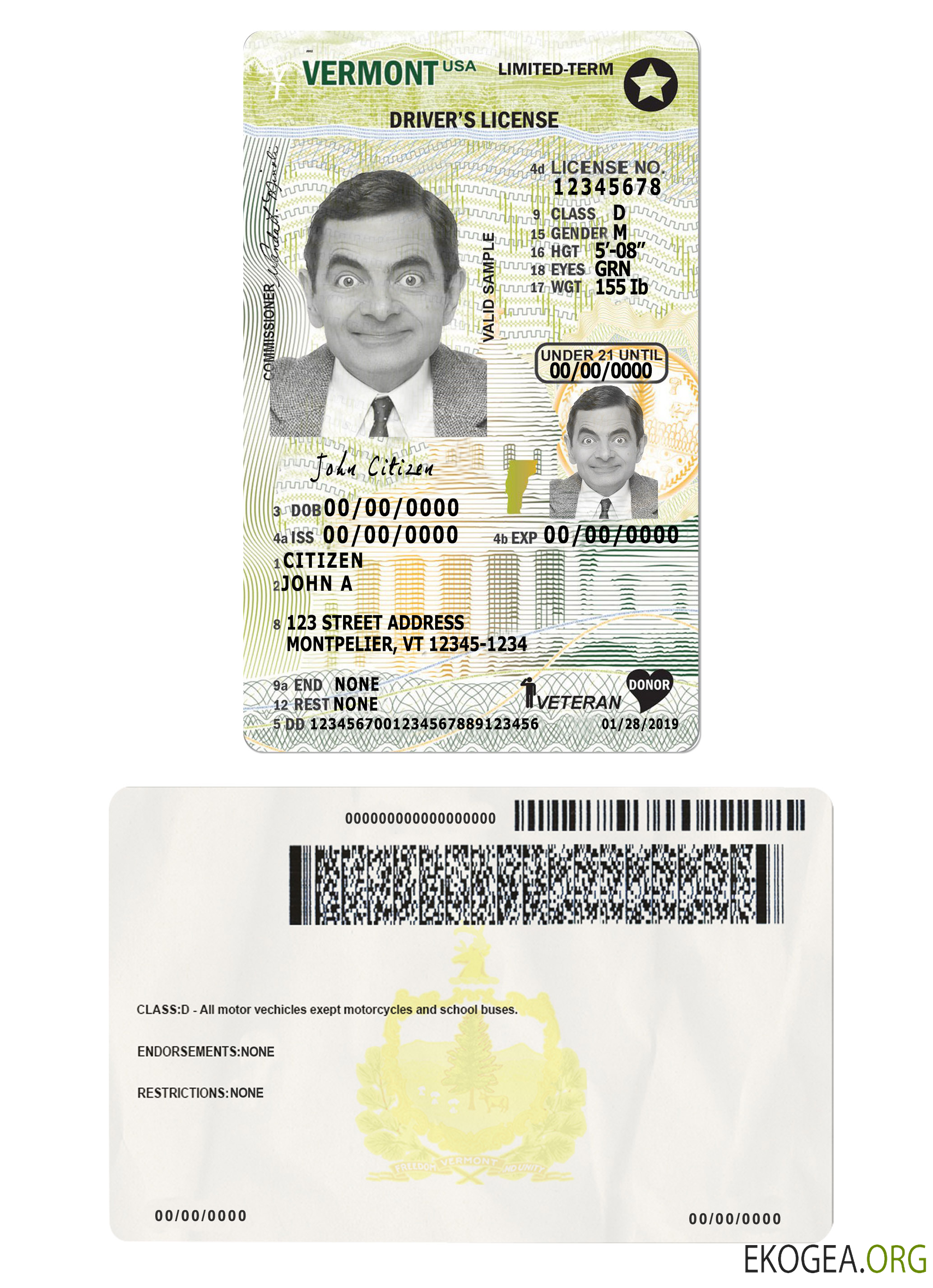 Usa Vermont driving license under 21 template